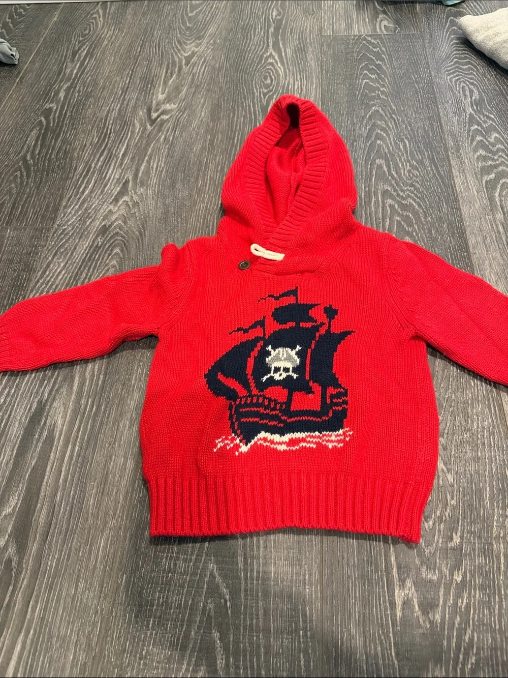 Baby GAP toddler hooded sweater 2T